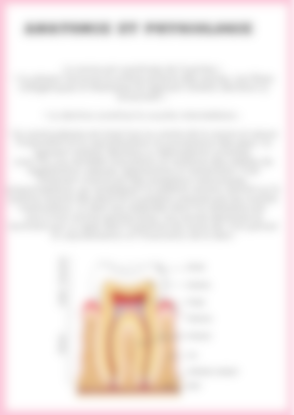 E-book strass dentaire